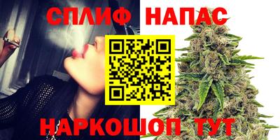jwh Гатчина