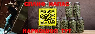 индика Гагарин