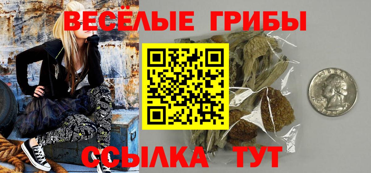 Псилоцибиновые грибы Cubensis  Псилоцибиновые грибы Psilocybe  Вход с VPN  наркошоп  Камышин 