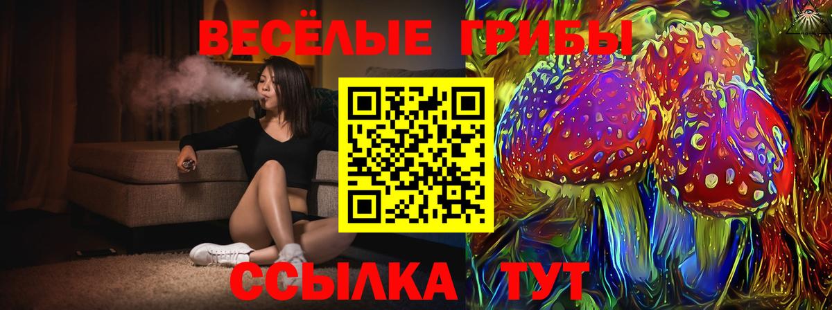 Галлюциногенные грибы GOLDEN TEACHER Камышин